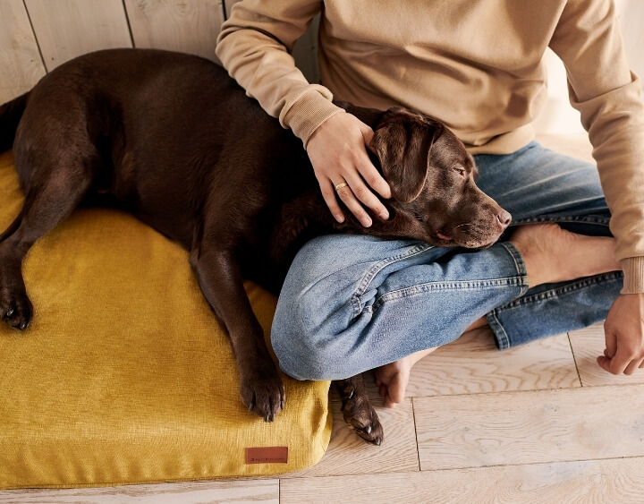 Messwerte für die Robustheit von Materialien in Hundebetten