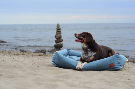 Orthopädisches Hundebett Cuddle Ross